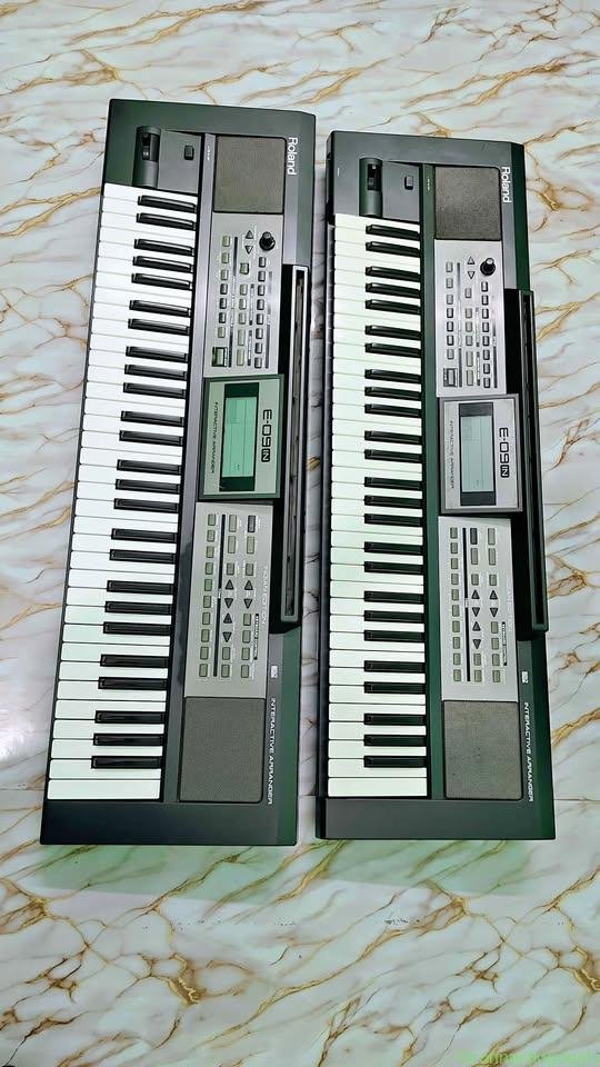 Roland E09 IN