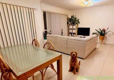 Room available starting June 7th in Sydney