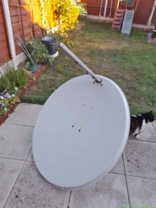 Satellite