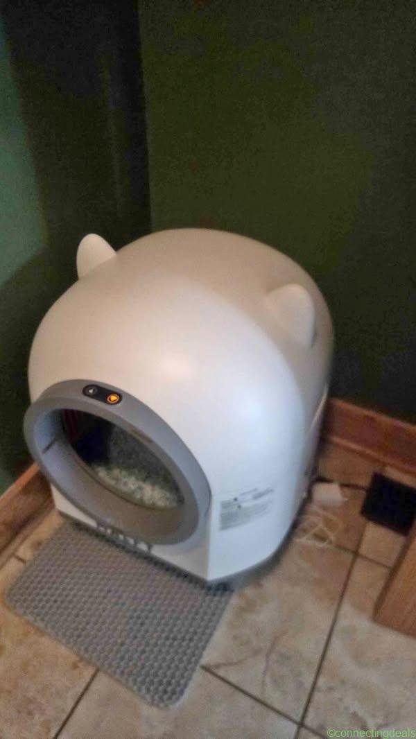 Self cleaning litter box