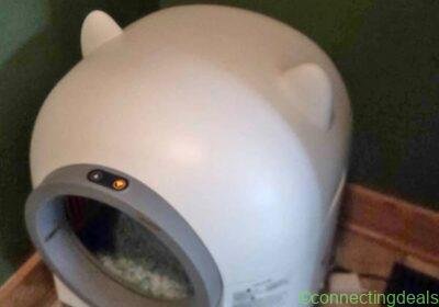 Self cleaning litter box in Chicago