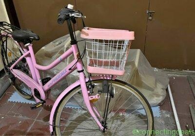Sepeda Mini Perempuan Keranjang CTB Ukuran 26 in Surabaya