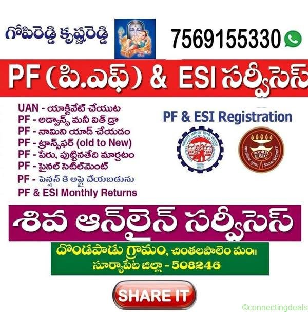 SERVICES