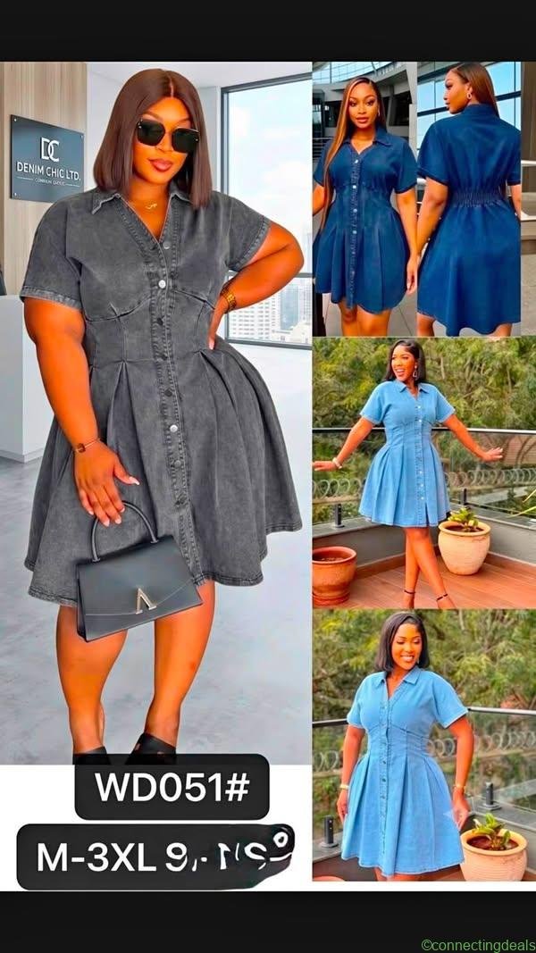 Shirt dress