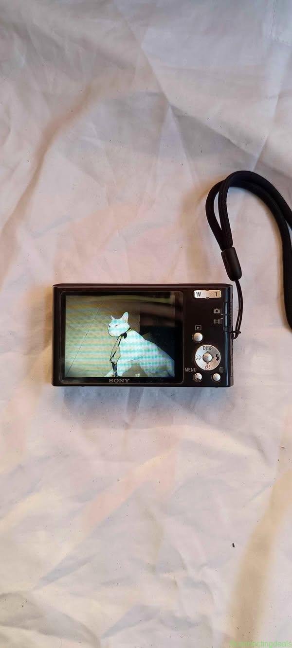Sony Steadyshot dsc- w320