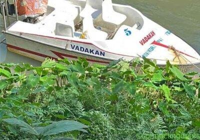 Speed boat in Kochi