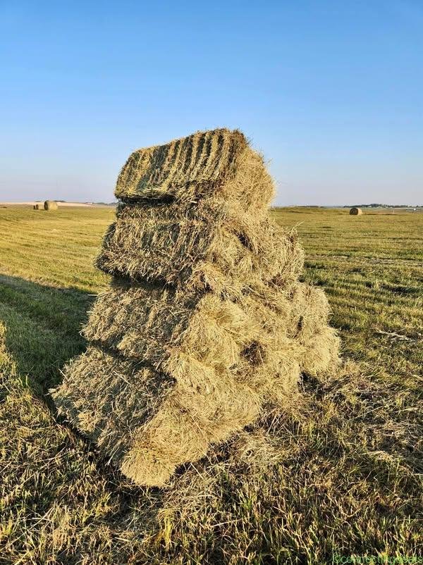 Square bales