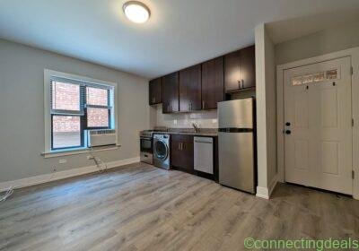 Studio 1 Bath Apartment in Chicago