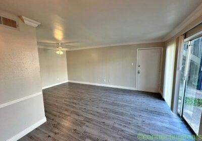 Studio 1 Bath - Apartment in Houston
