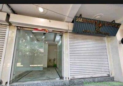 Free ad: Studio 1 Bath - House in Delhi. Studio 1 Bath - House in Delhi