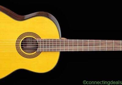 Takamine D Series D30N Classical Guitar – in Thoothukudi