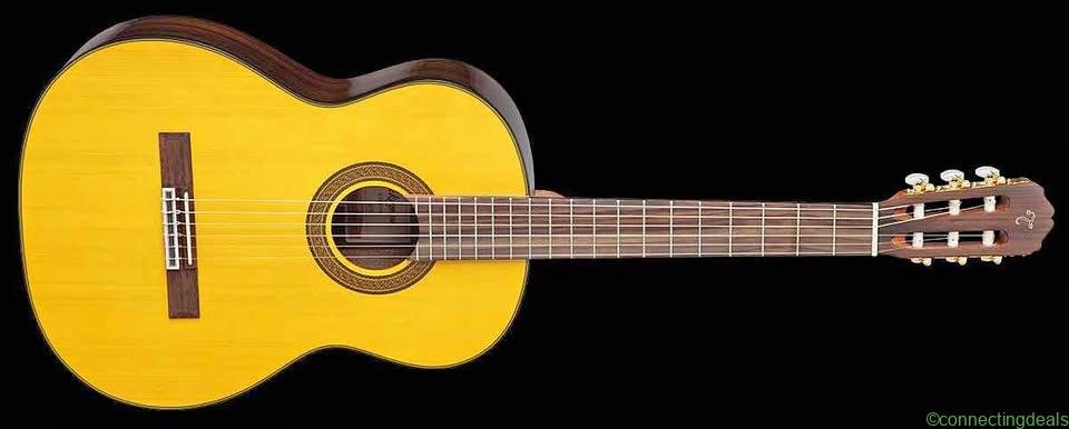 Takamine D Series D30N Classical Guitar –