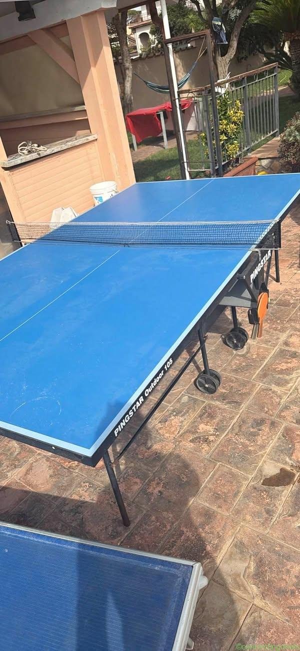 Tavolo Ping pong