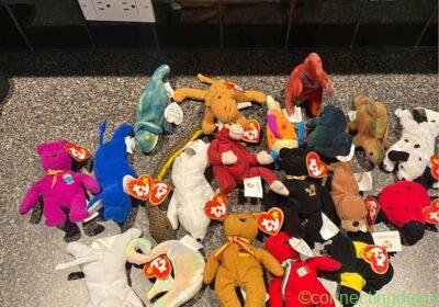Free ad: Teenie Beanie babies lot sale in Calgary. Teenie Beanie babies lot sale in Calgary