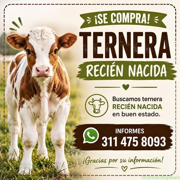 Ternerita