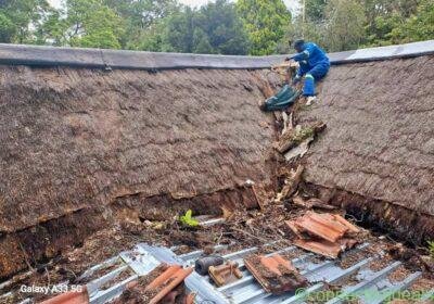 Thatch Repairs in Johannesburg