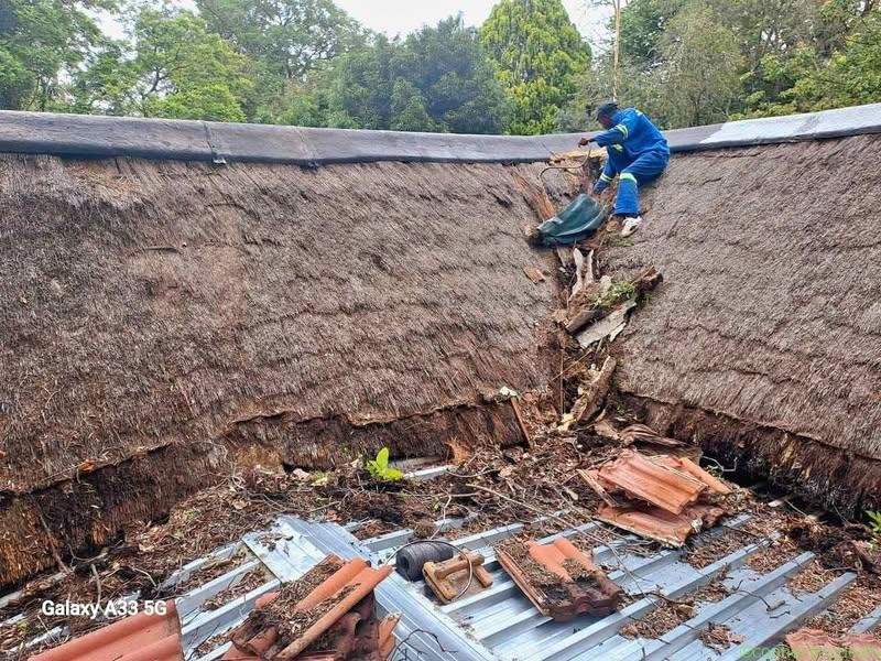 Thatch Repairs