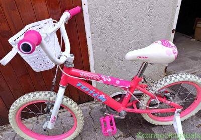 Totem Princess 16" Bike with Training Wheels - in Johannesburg