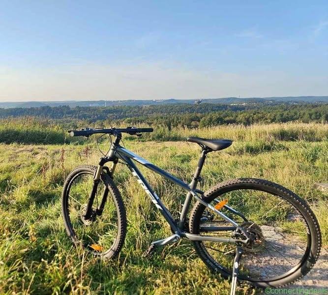 Trek X Caliber 7 29″ Mountainbike