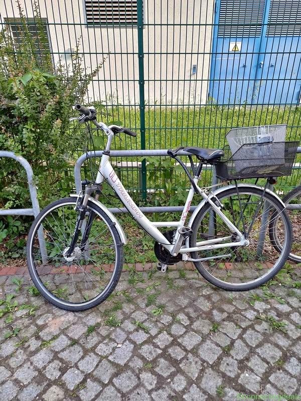 Trekking Bike