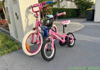 Two Kids’ Bikes for Sale – Trek & Frozen in Brisbane
