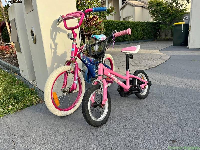 Two Kids’ Bikes for Sale – Trek & Frozen