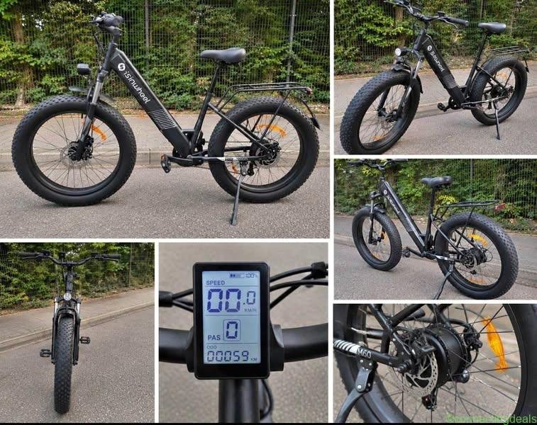 Vélo électrique fat bike Isinwheel