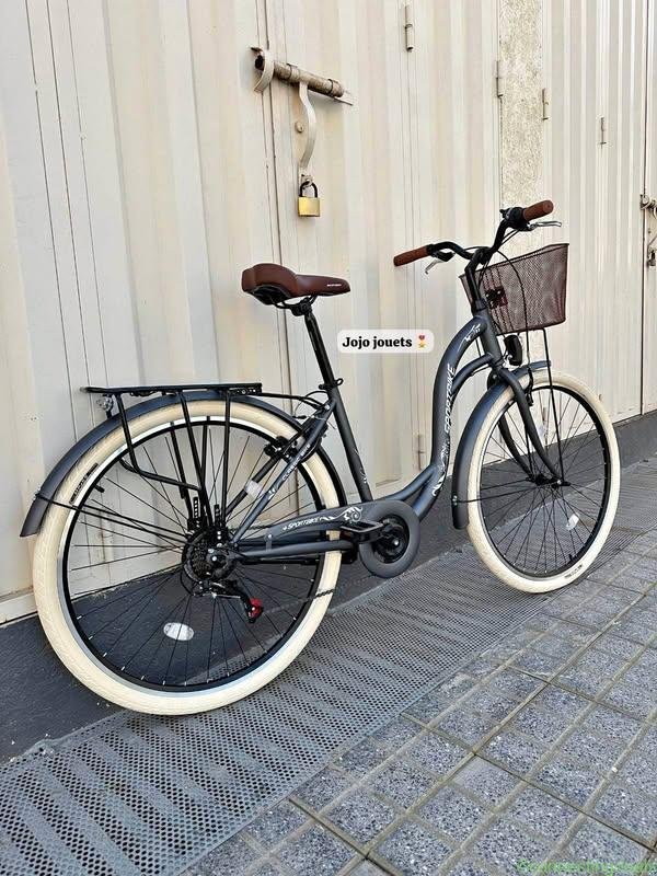 Vélo MADAME PRO SPORT BIKE 28 Pouces