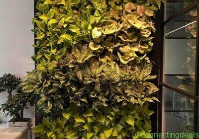 Vertical garden in Tiruppur