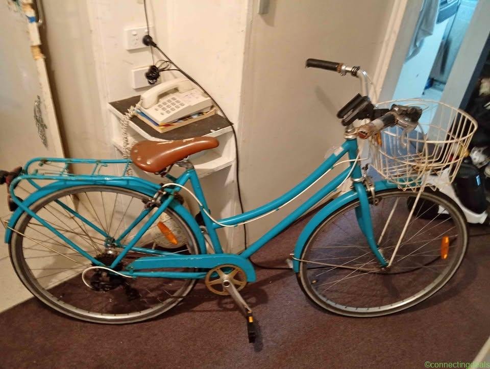 Vintage-Style Ladies’ Bike