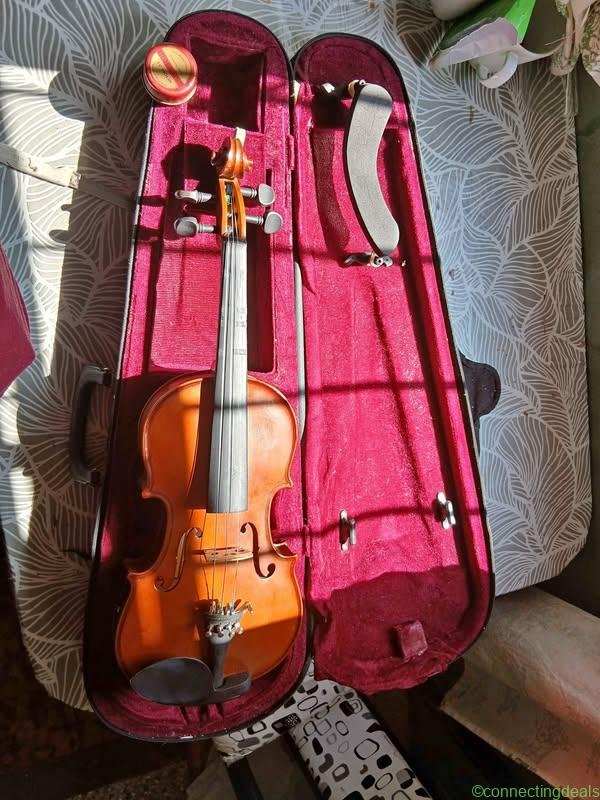 Violin usado