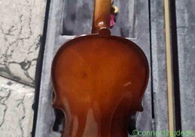 Violins in Singapore