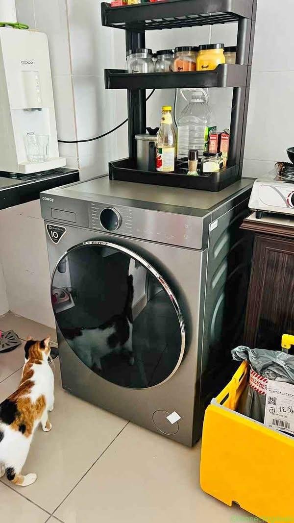 Washer Dryer 10KG