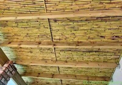 We selling treated bamboo fence all sizes in Durban