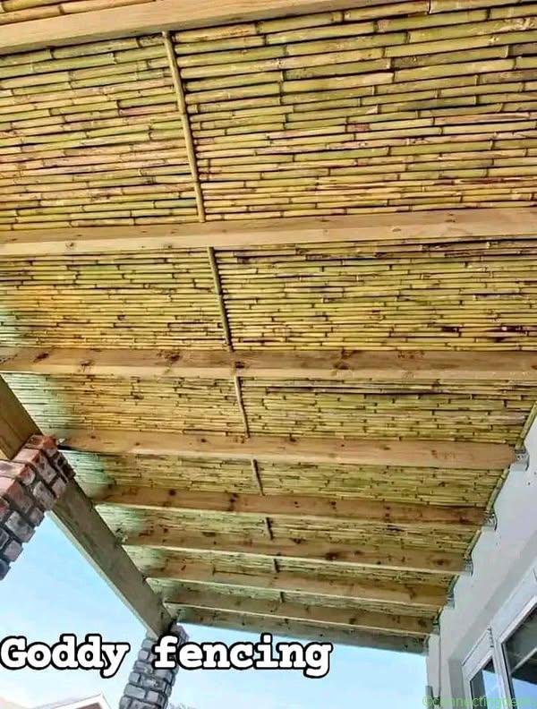 We selling treated bamboo fence all sizes