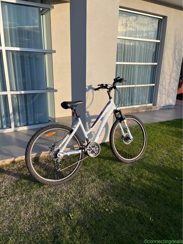 Women’s medium Diamond back bike