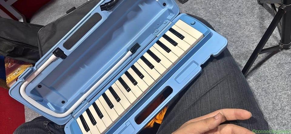 Yamaha Melodica Just Like New Condition Wit Case