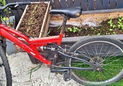 bike for sale in Edinburgh