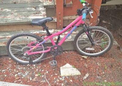 Free ad: Raleigh Kids in Victoria. Raleigh Kids in Victoria