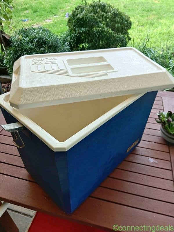 Sports Esky 26lt