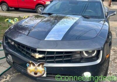 Chevrolet Camaro Lt Coupe 2D