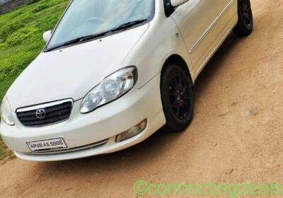 Toyota corolla