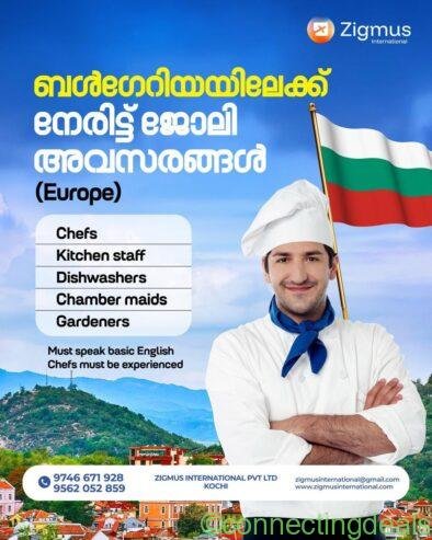 Job opportunity at Bulgaria