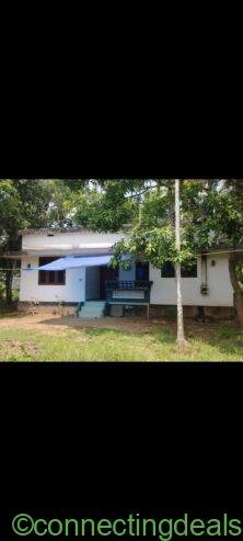 14 cent, 850+ sq. Ft. House