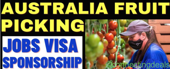 Berry Pickers in Coffs Harbour, NSW,Australia