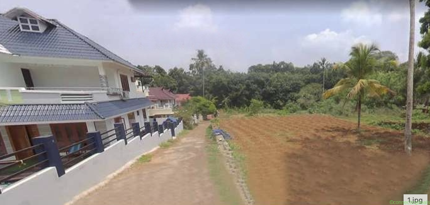 Land for sale Athirampuzha