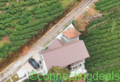 Vagamon & Kuttikkanam resort