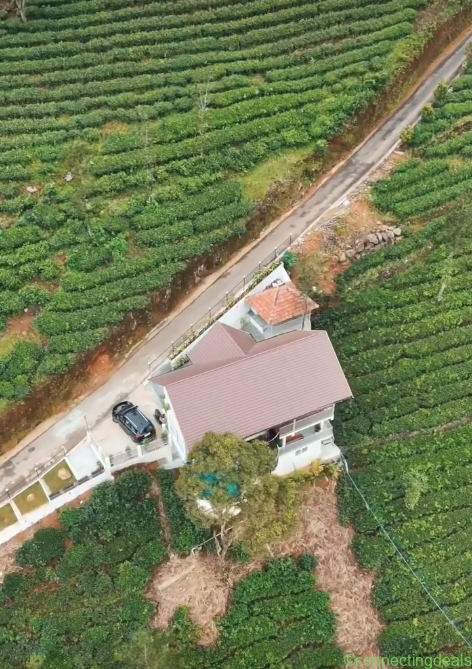 Vagamon & Kuttikkanam resort