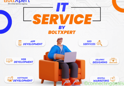 IT-SERVICES-POST