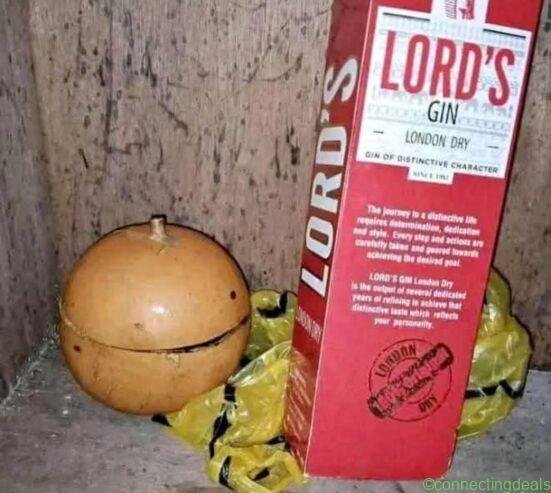 The Best Powerful SpirItual Herbalist IN Nigeria